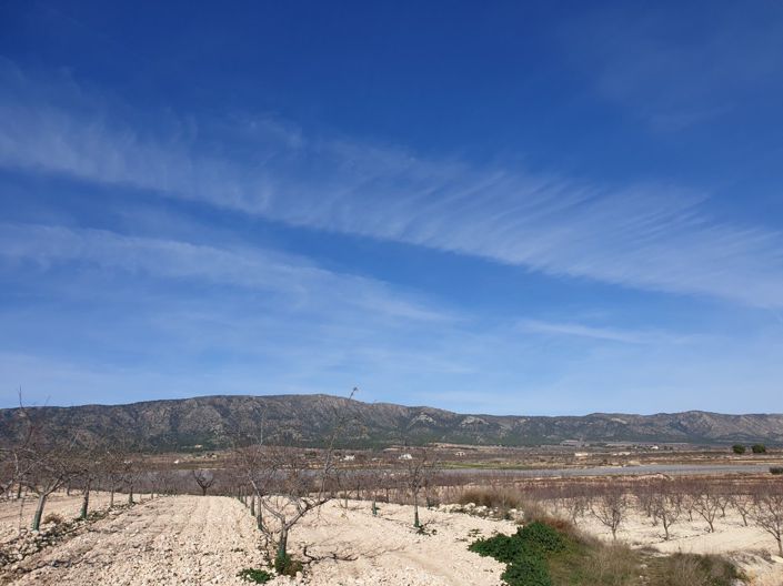 Image No.6-Land for sale