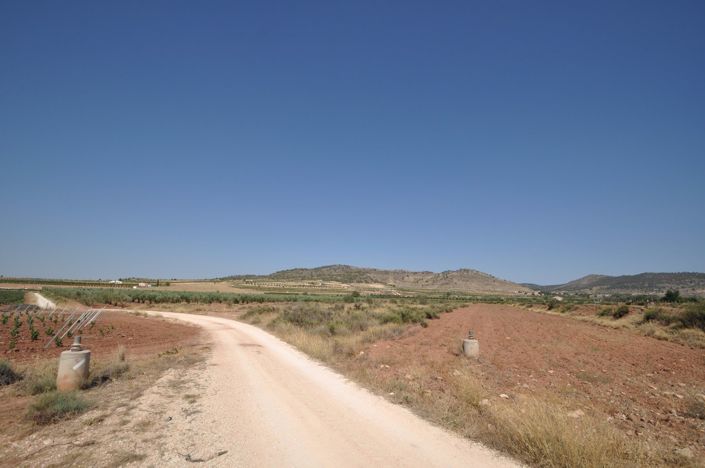 Image No.2-Terre à vendre