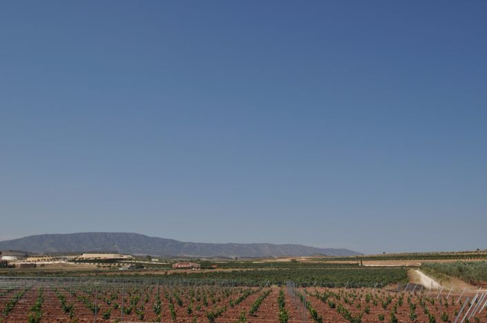 Image No.3-Land for sale