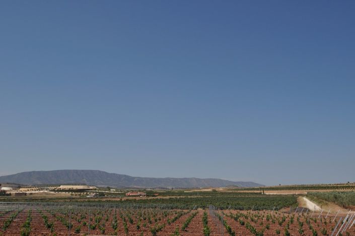 Image No.3-Terre à vendre