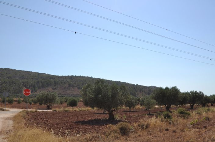 Image No.5-Land for sale