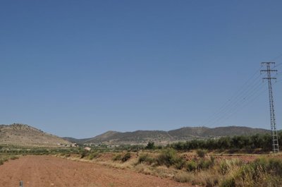 03d2ce00b5675432
