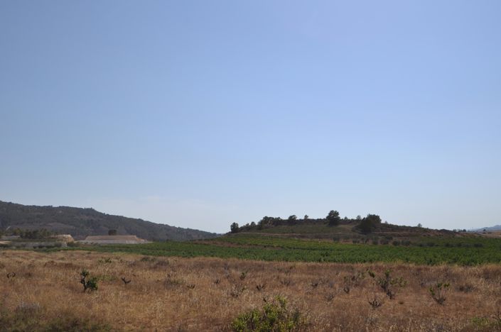 Image No.3-Terre à vendre à Pinoso