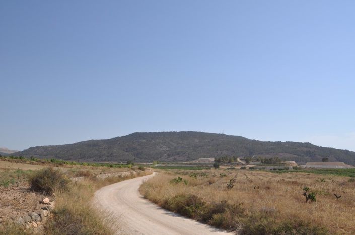 Image No.4-Land for sale