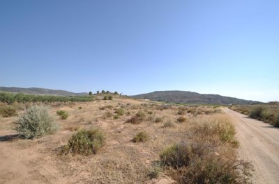 1 - Pinoso, Terreno