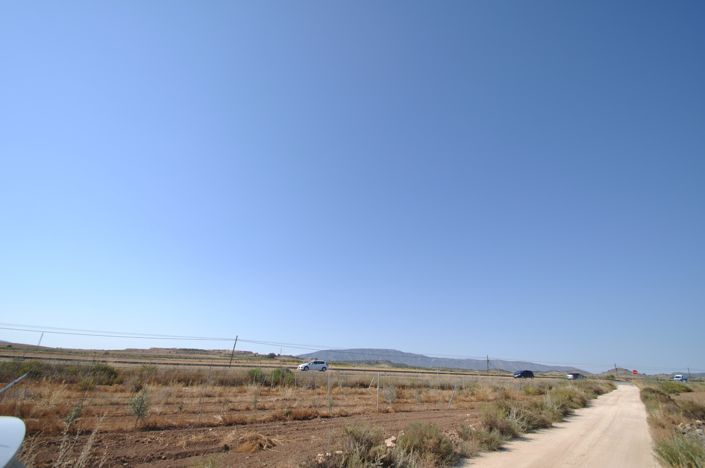 Image No.5-Terre à vendre à Pinoso