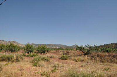 1 - Pinoso, Terreno