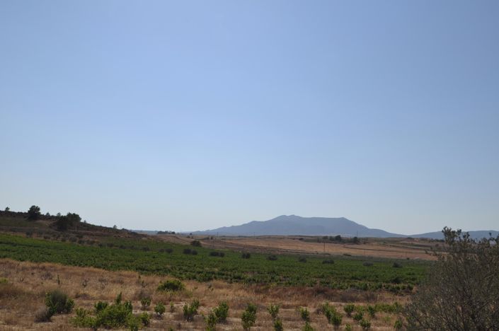 Image No.3-Land for sale