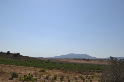 c096619c3f961366
