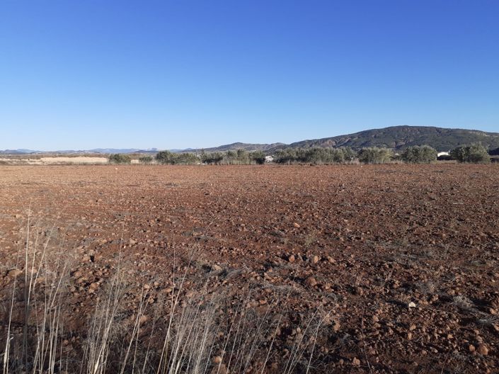 Image No.2-Land for sale