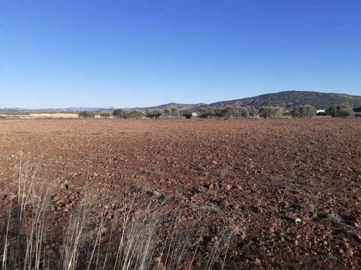 Image No.2-Land for sale