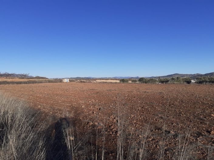 Image No.3-Land for sale