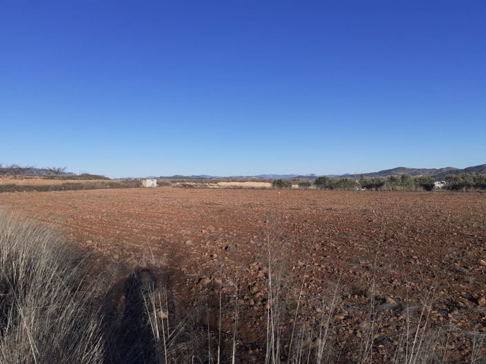 Image No.3-Land for sale