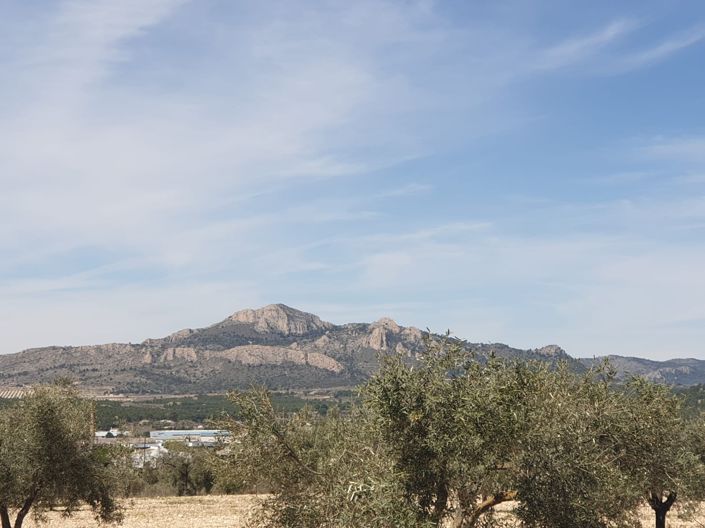 Image No.4-Land for sale