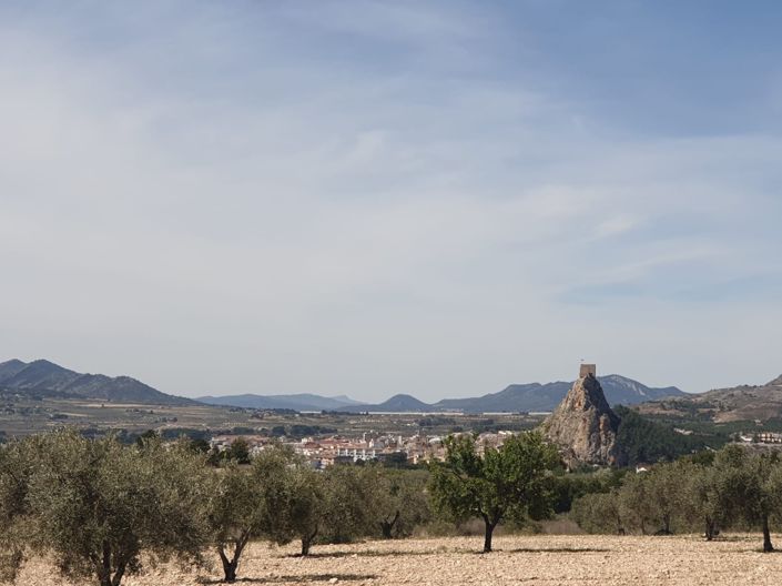 Image No.5-Land for sale