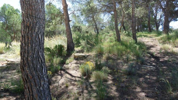 Image No.26-3 Bed Villa for sale