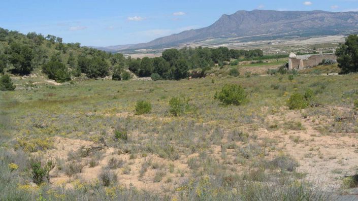 Image No.30-3 Bed Villa for sale