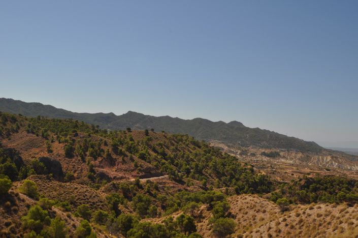 Image No.10-Land for sale