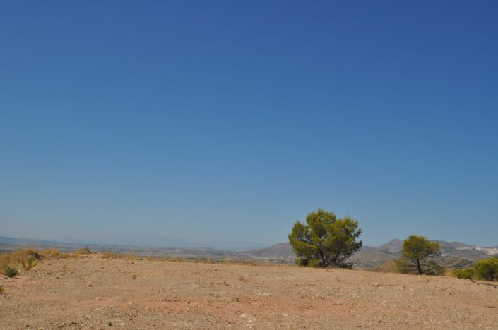 Image No.3-Terre à vendre à Macisvenda