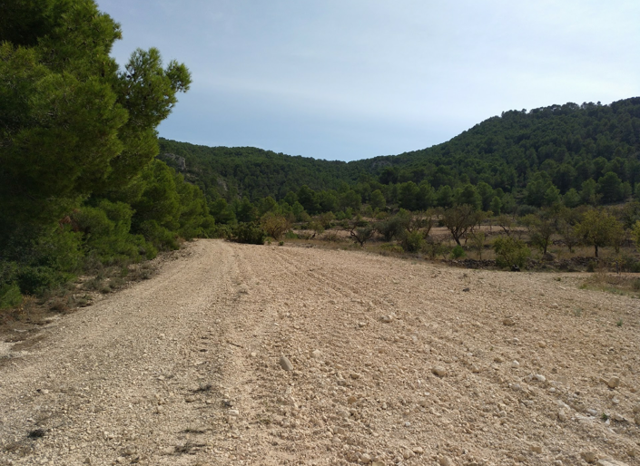 Image No.2-Land for sale
