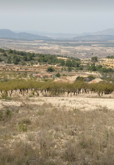 Image No.6-Land for sale