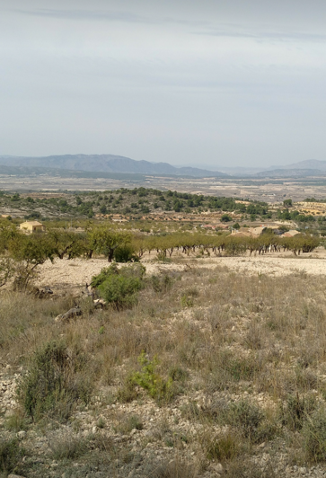 Image No.7-Land for sale