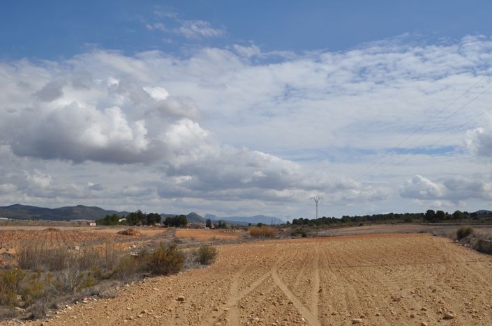 Image No.5-Terre à vendre à Pinoso