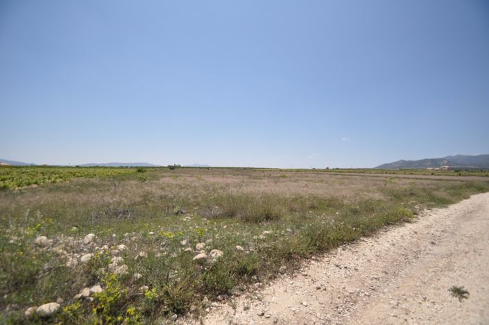 Image No.11-Land for sale