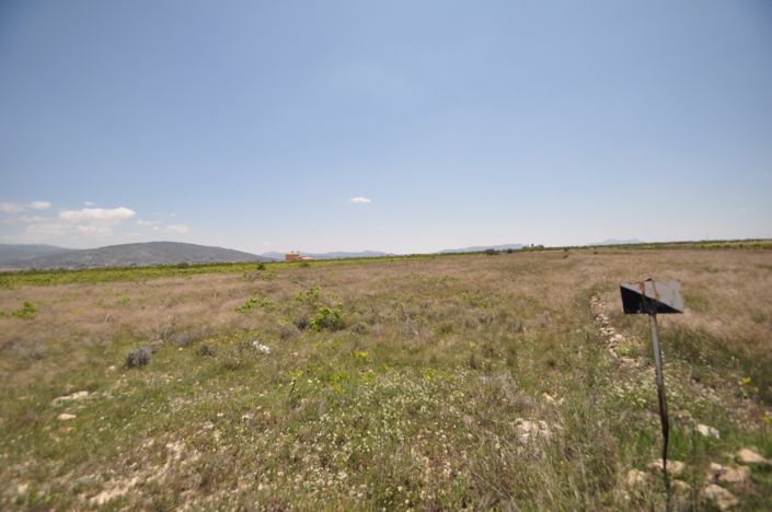 Image No.12-Terre à vendre à Pinoso