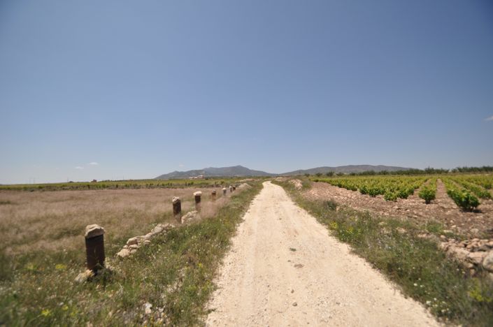 Image No.13-Land for sale