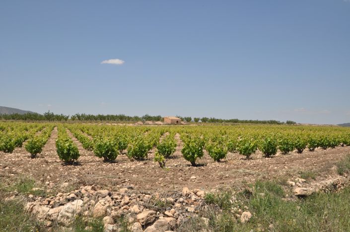 Image No.17-Land for sale
