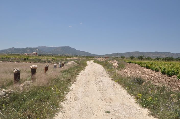 Image No.5-Land for sale