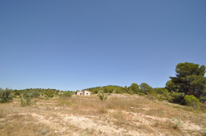 Image No.9-Terre à vendre à Pinoso