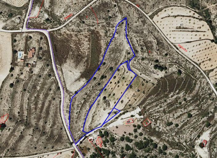 Image No.10-Terre à vendre à Pinoso