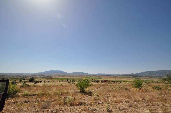 Image No.2-Terre à vendre à Pinoso