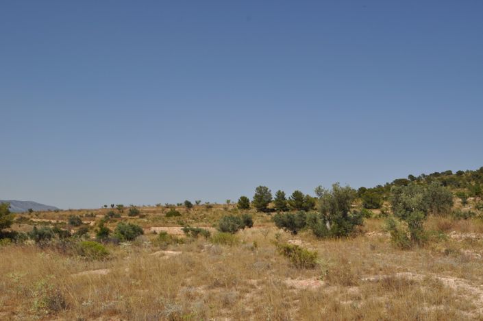 Image No.4-Land for sale