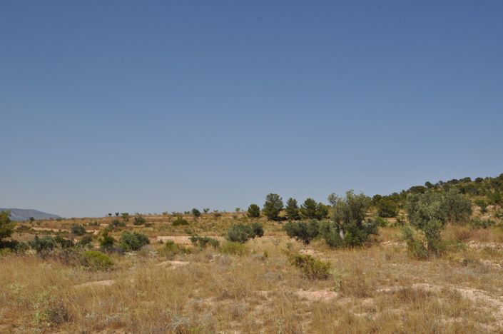 Image No.4-Land for sale