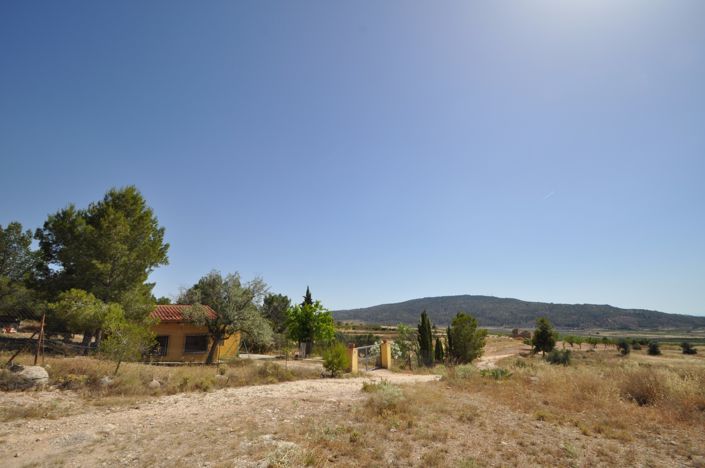 Image No.5-Terre à vendre à Pinoso
