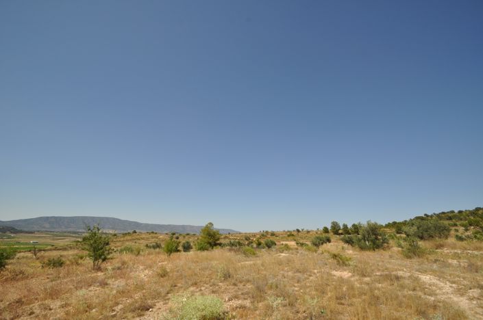 Image No.7-Terre à vendre à Pinoso