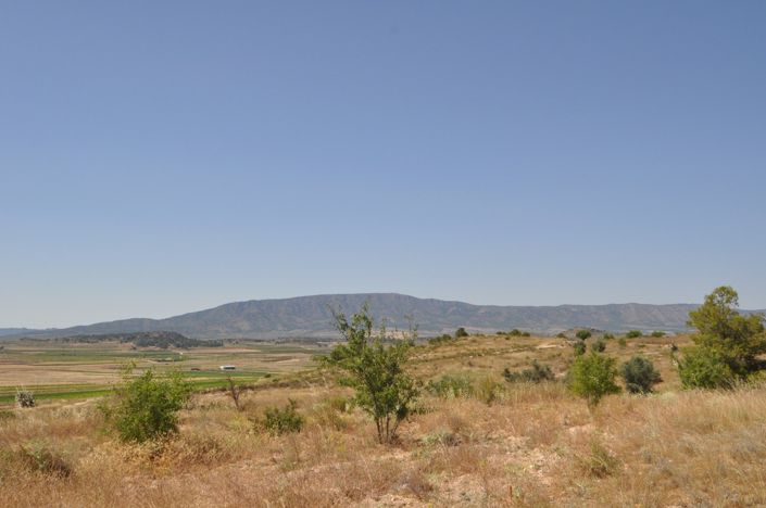 Image No.8-Land for sale