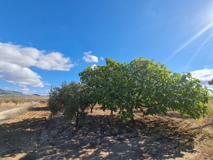 Image No.2-Land for sale