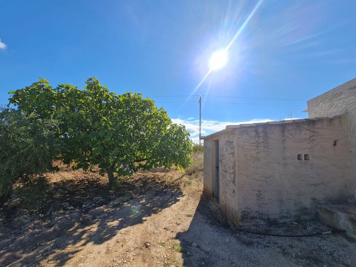 Image No.3-Land for sale