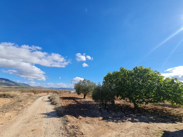 Image No.5-Land for sale