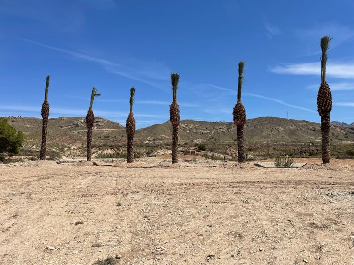 Image No.10-Land for sale