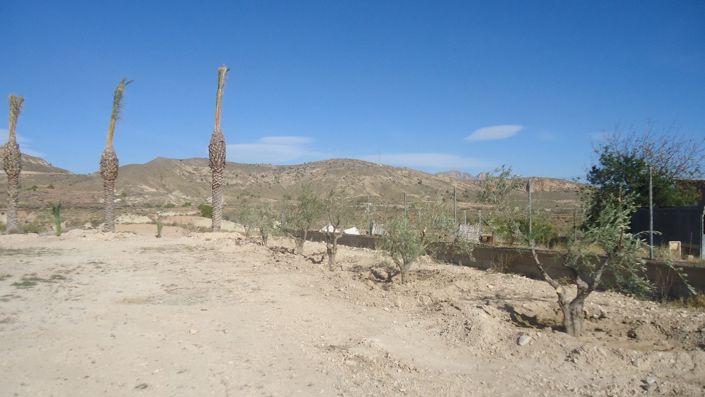 Image No.2-Land for sale