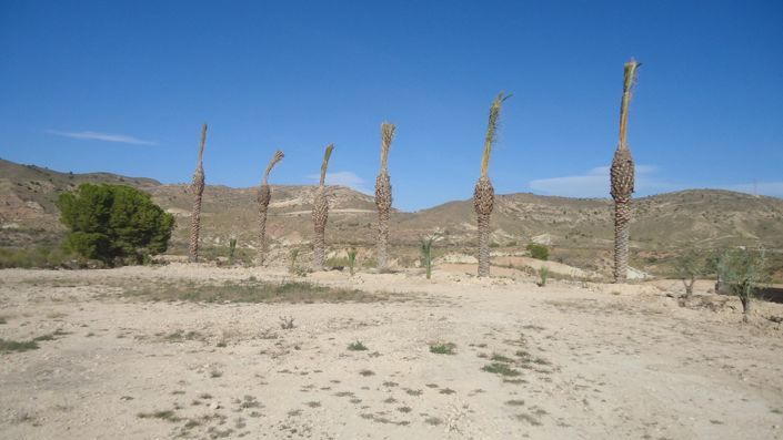 Image No.3-Land for sale