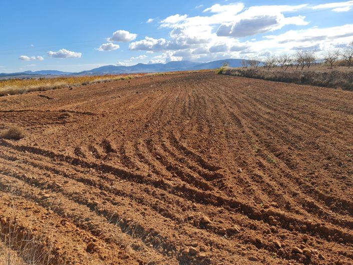 Image No.5-Land for sale