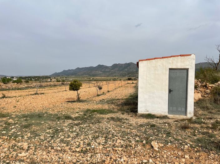 Image No.13-Terre à vendre à Yecla