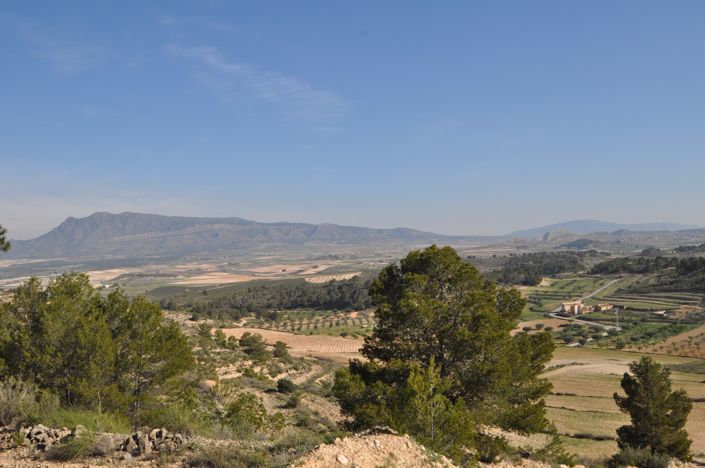 Image No.2-Terre à vendre à La Zarza