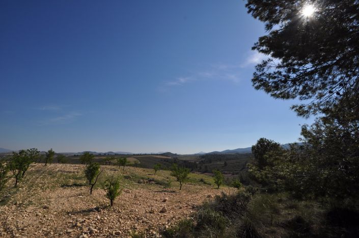 Image No.1-Land for sale